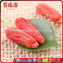 Bagas de Goji on-line secas bagas de goji nutrição goji do Himalaia